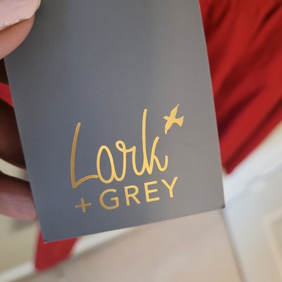 Lark + Grey red dress. Size 1X. Two pockets on the front. Five brown but… - Picture 5 of 11